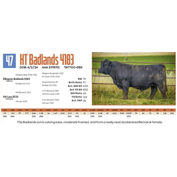 HT Badlands 4183