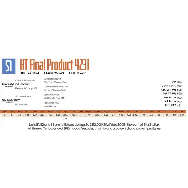 HT Final Product 4231