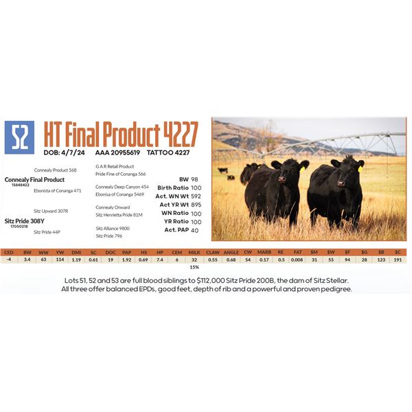 HT Final Product 4227