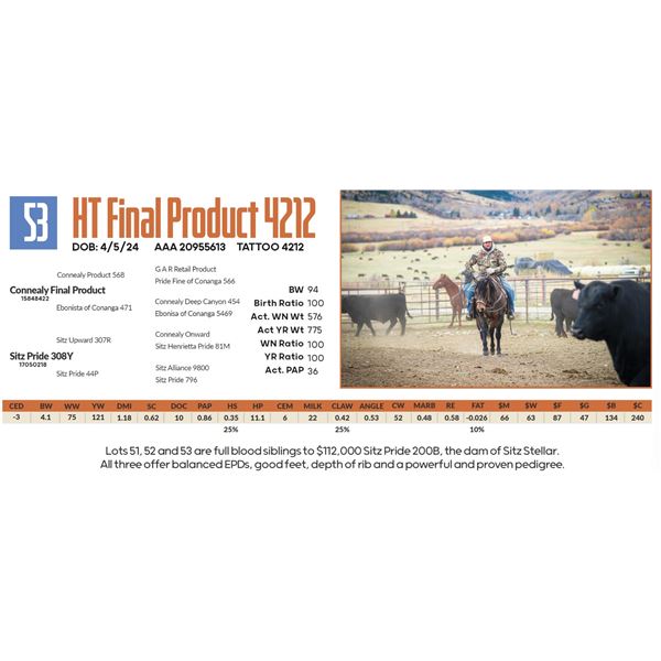 HT Final Product 4212