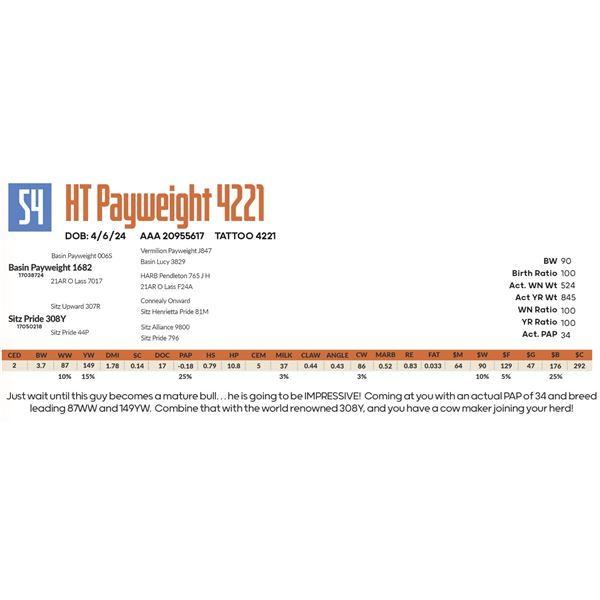HT Payweight 4221