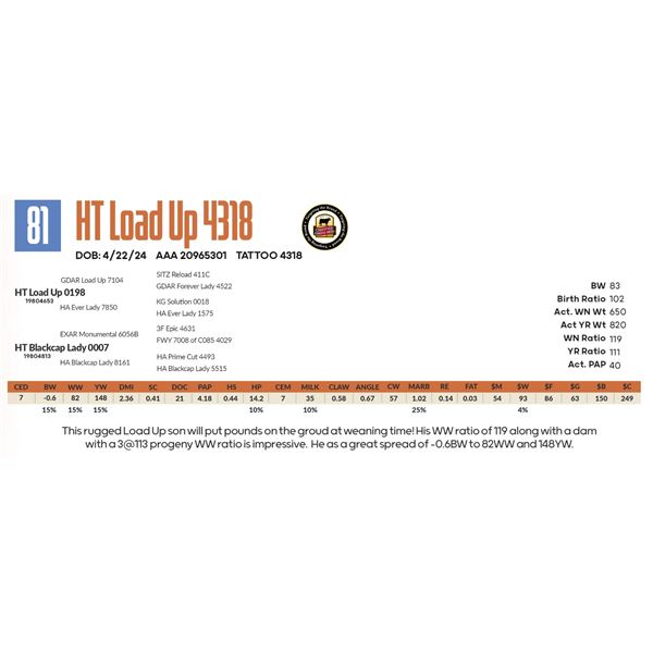 HT Load Up 4318