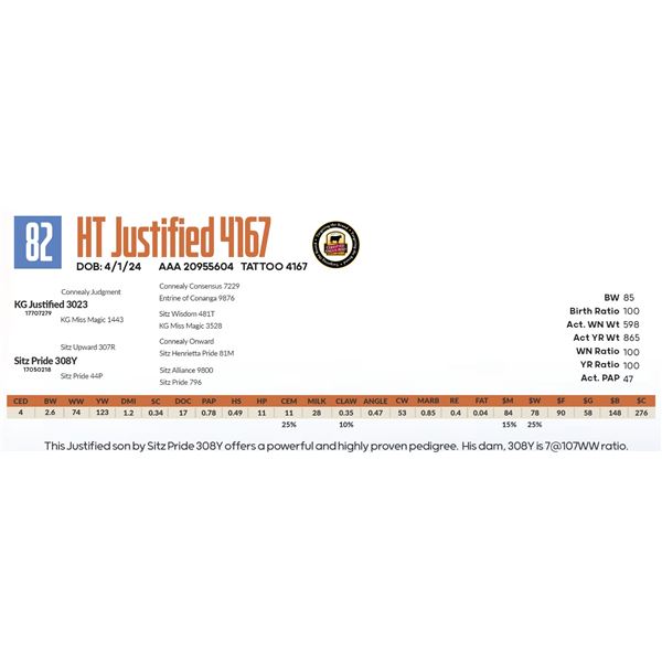 HT Justified 4167