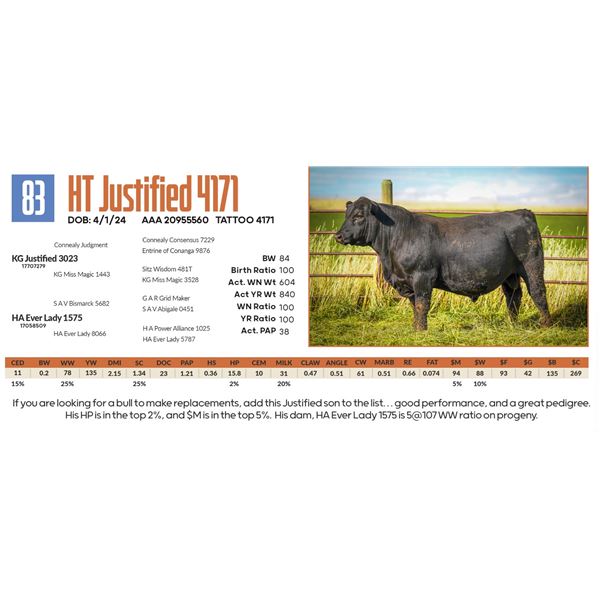 HT Justified 4171