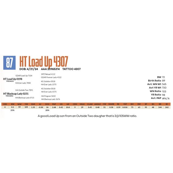HT Load Up 4307