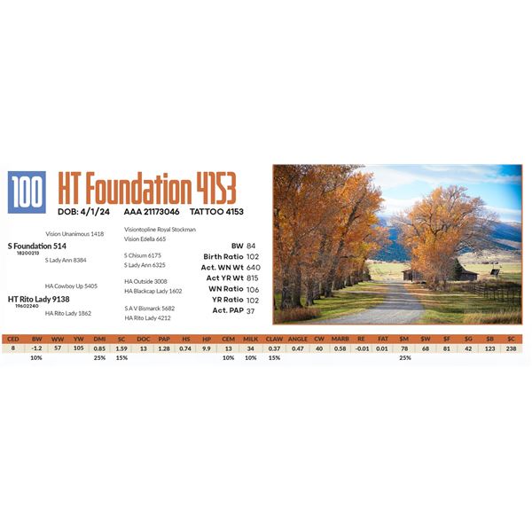HT Foundation 4153