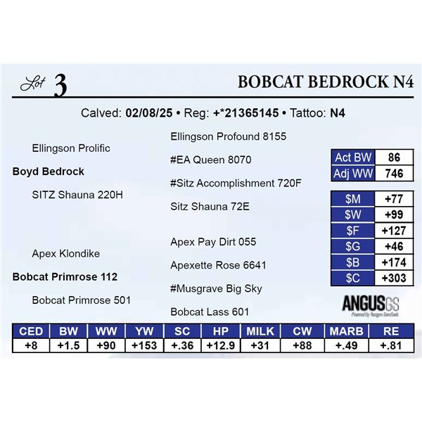 Bobcat Bedrock N4