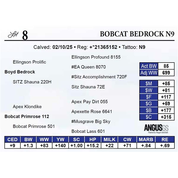 Bobcat Bedrock N9