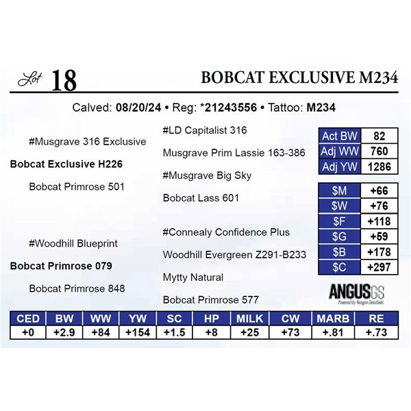 Bobcat Exclusive M234