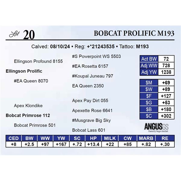 Bobcat Prolific M193