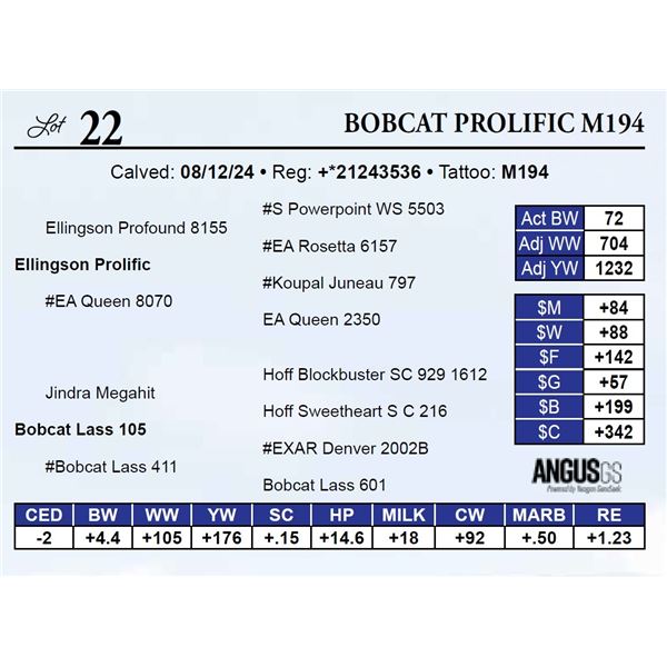 Bobcat Prolific M194