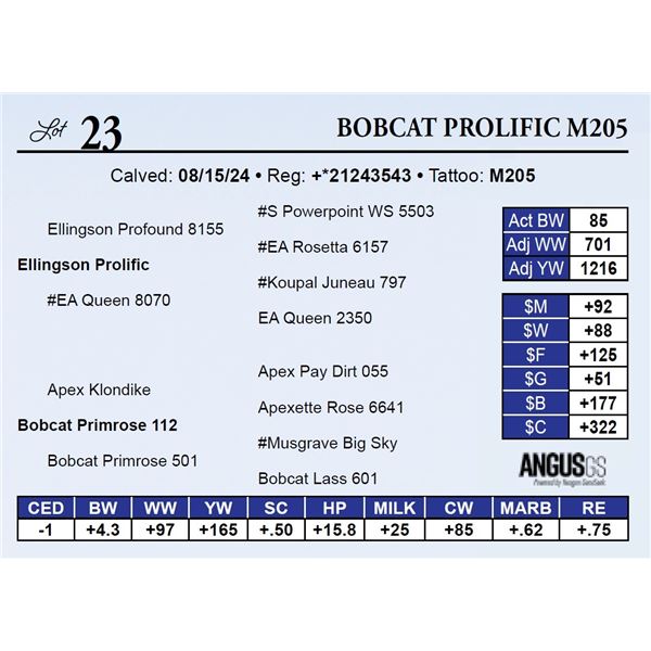 Bobcat Prolific M205