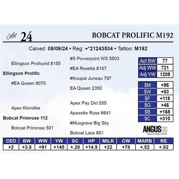 Bobcat Prolific M192