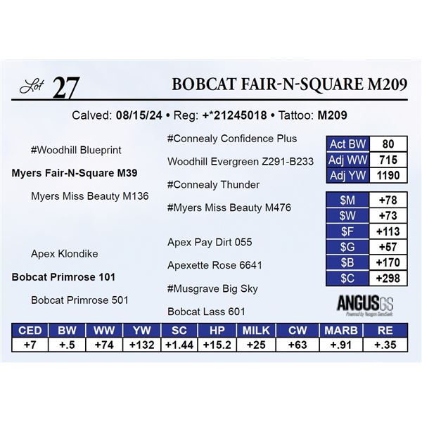Bobcat Fair-N-Square M209