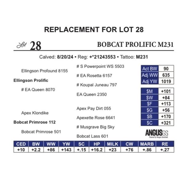 Bobcat Prolific M204