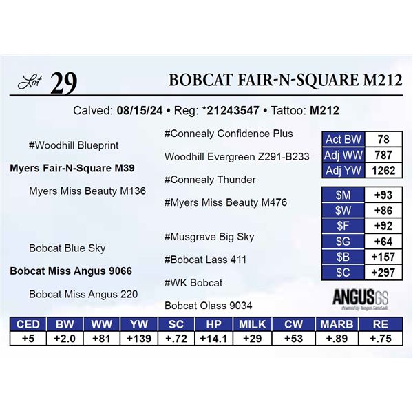 Bobcat Fair-N-Square M212