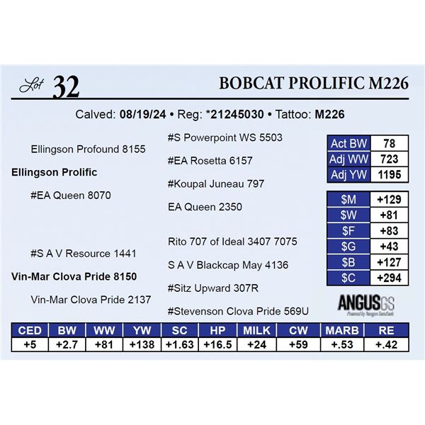 Bobcat Prolific M226