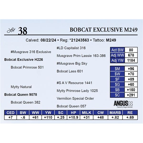 Bobcat Exclusive M249