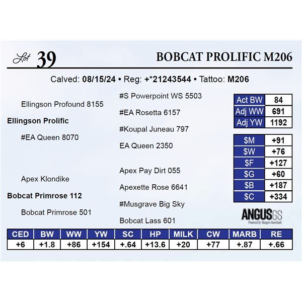 Bobcat Prolific M206