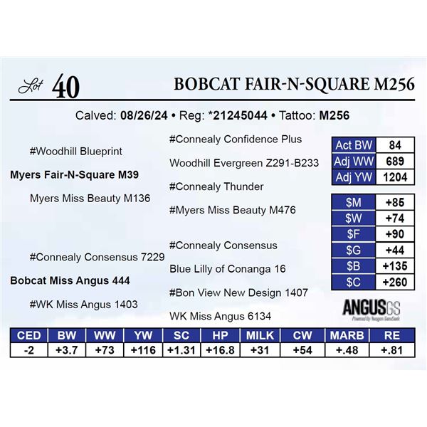 Bobcat Fair-N-Square M256