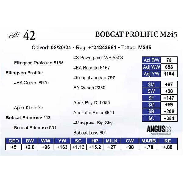 Bobcat Prolific M245