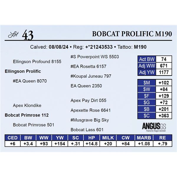Bobcat Prolific M190