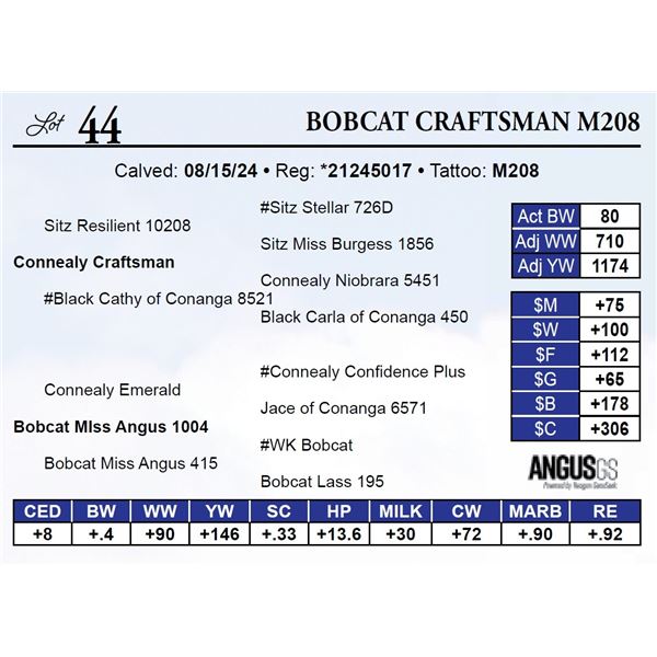 Bobcat Craftsman M208