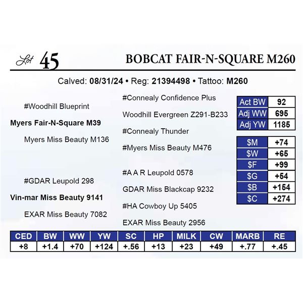 Bobcat Fair-N-Square M260