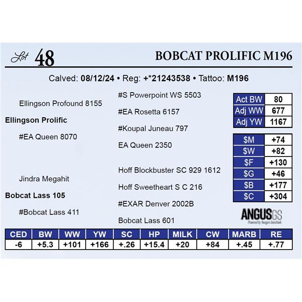 Bobcat Prolific M196
