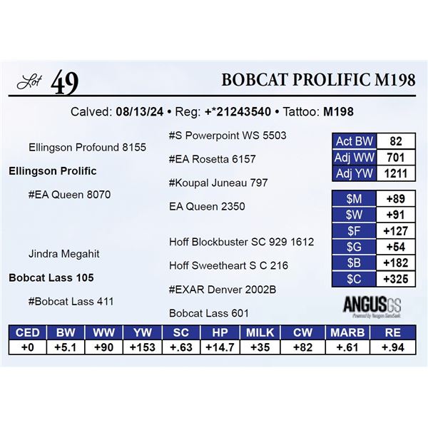 Bobcat Prolific M198