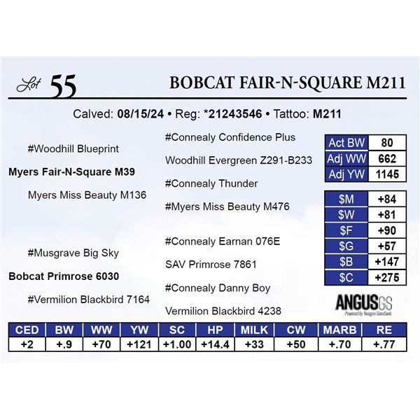 Bobcat Fair-n-Square M211