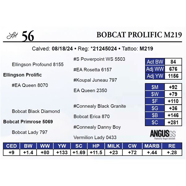 Bobcat Prolific M219