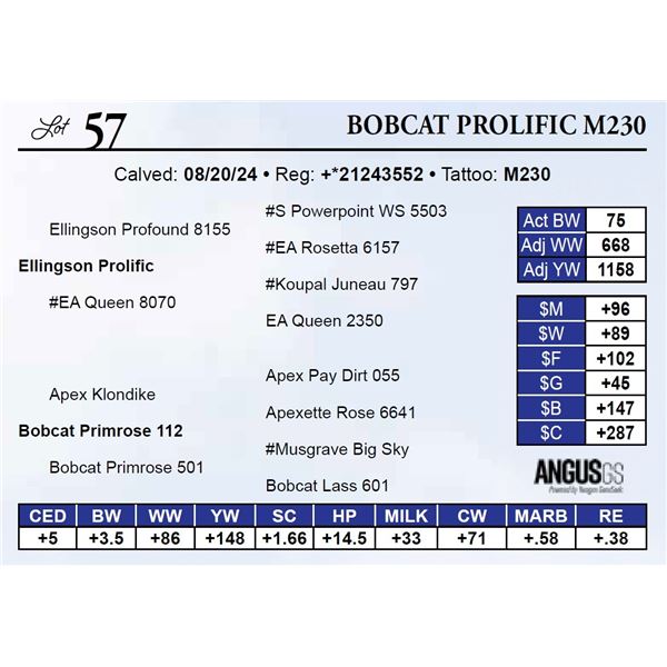 Bobcat Prolific M230