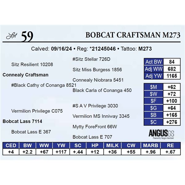 Bobcat Craftsman M273