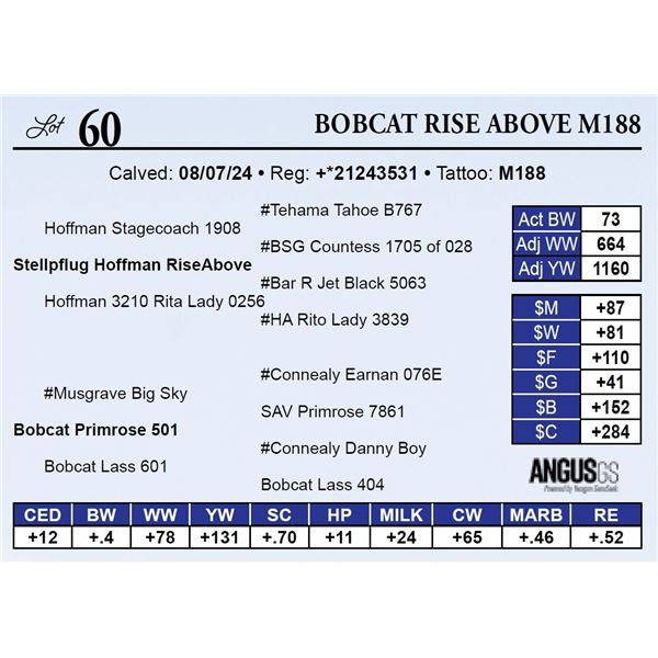 Bobcat Rise Above M188