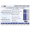 Image 1 : Bobcat Rise Above M200