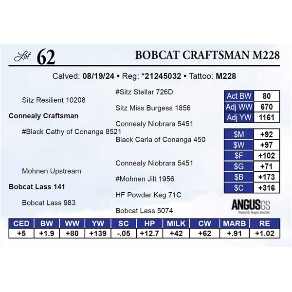 Bobcat Craftsman M228