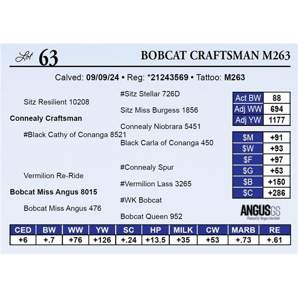 Bobcat Craftsman M263