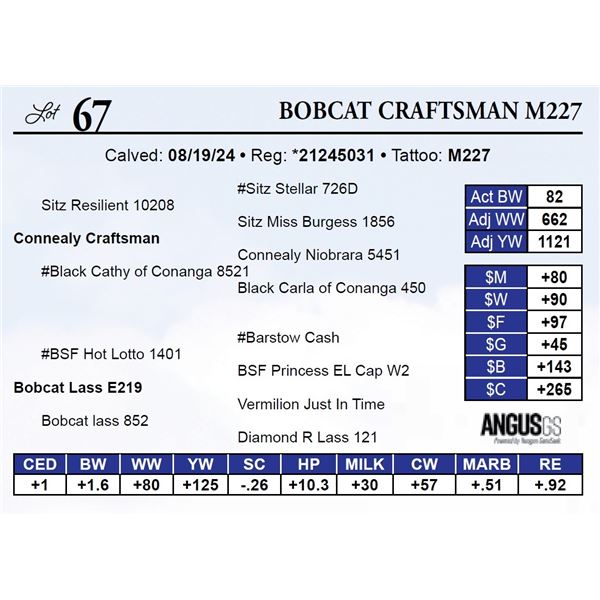 Bobcat Craftsman M227