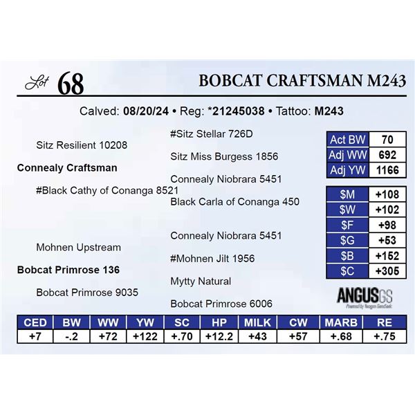 Bobcat Craftsman M243
