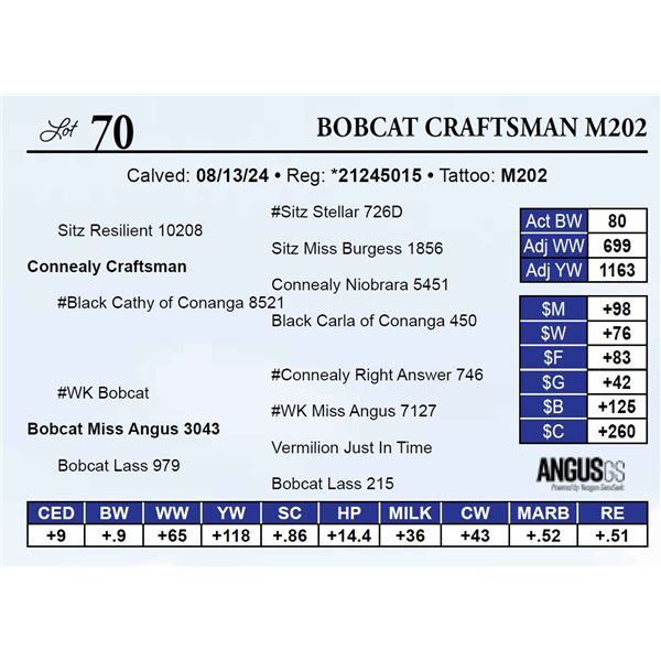 Bobcat Craftsman M202