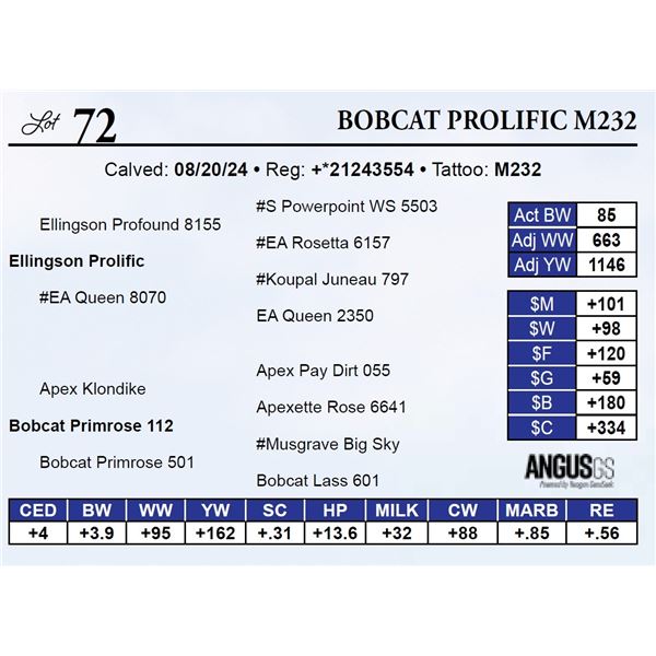 Bobcat Prolific M232