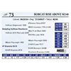 Image 1 : Bobcat Rise Above M240