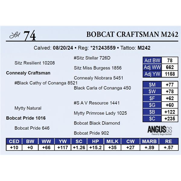 Bobcat Craftsman M242
