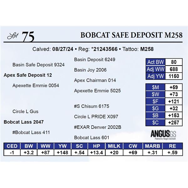Bobcat Safe Deposit M258