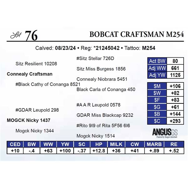 Bobcat Craftsman M254