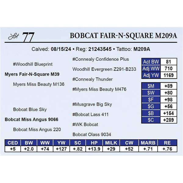 Bobcat Fair-N-Square M209A