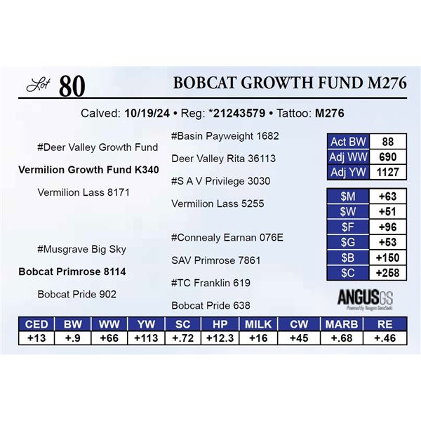 Bobcat Growth Fund M276