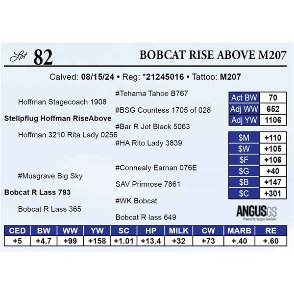Bobcat Rise Above M207
