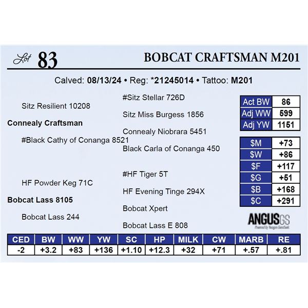 Bobcat Craftsman M201